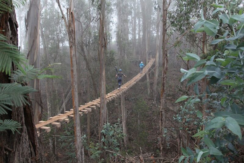 Maui: Haleakala 5-Line Zipline Adventure - Inclusions and Safety