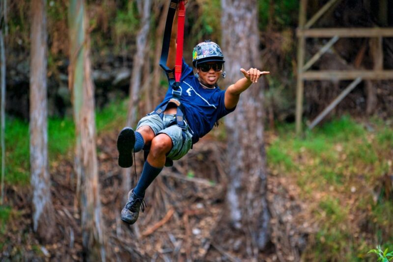 Maui: Haleakala 5-Line Zipline Adventure - Customer Reviews and Ratings