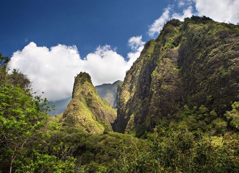 Maui: Haleakala and Iao Valley Tour - Customer Feedback