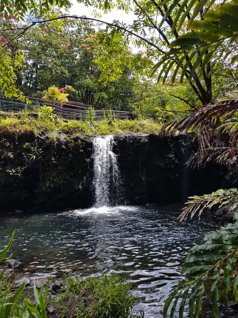 Maui: Halfway to Hana Black Sand Beach & Turtles Tour - Who Would Enjoy This Tour?