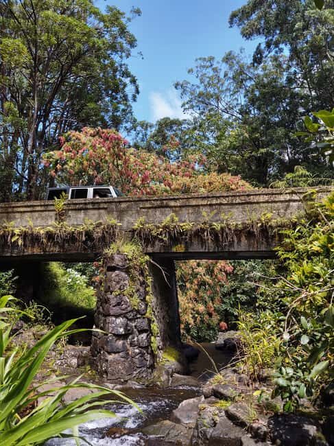 Maui: Halfway to Hana Black Sand Beach & Turtles Tour - Final Thoughts
