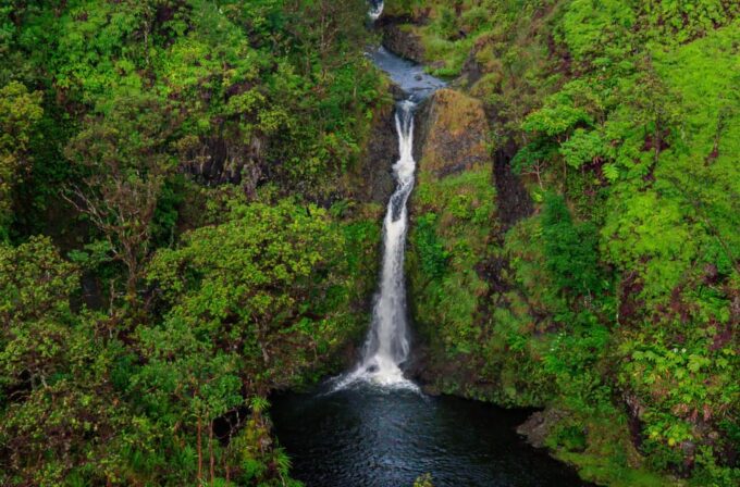 Maui: Hana Rainforest Helicopter Tour - Tour Booking and Reservations