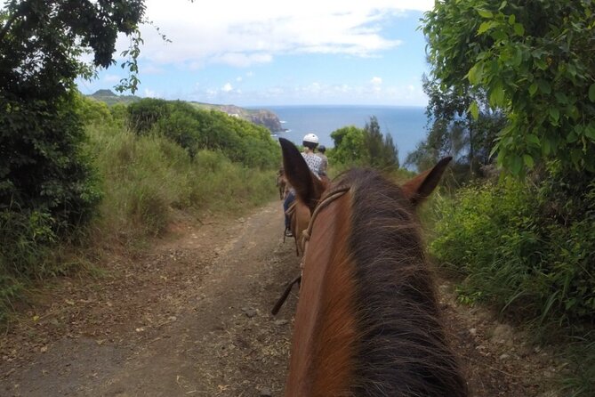 Maui Horseback-Riding Tour - Experienced Paniolos