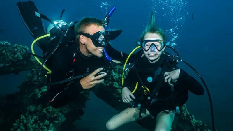Maui: Intro to Scuba Diving from Shore - Lahaina - The Sum Up