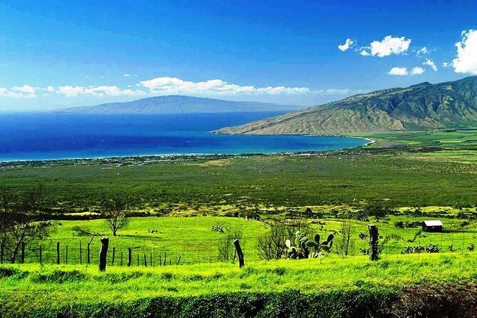 Maui Island Private Day Tour - Transportation and Amenities