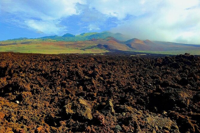 Maui Island Private Day Tour - Pickup and Confirmation