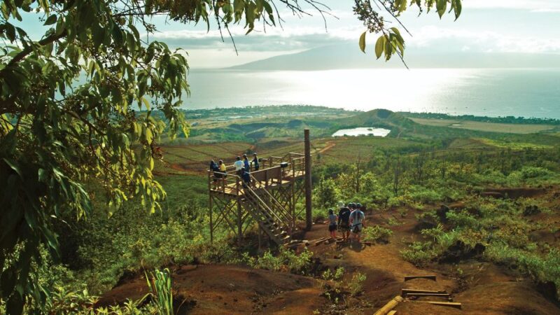 Maui: Kaanapali 8 Line Zipline Adventure - Experience Highlights
