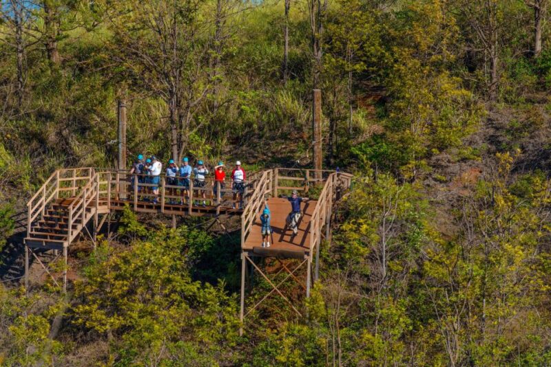 Maui: Kaanapali 8 Line Zipline Adventure - Safety and Requirements