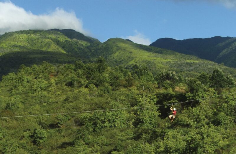 Maui: Kaanapali 8 Line Zipline Adventure - Soaring Above Kaanapalis Landscape