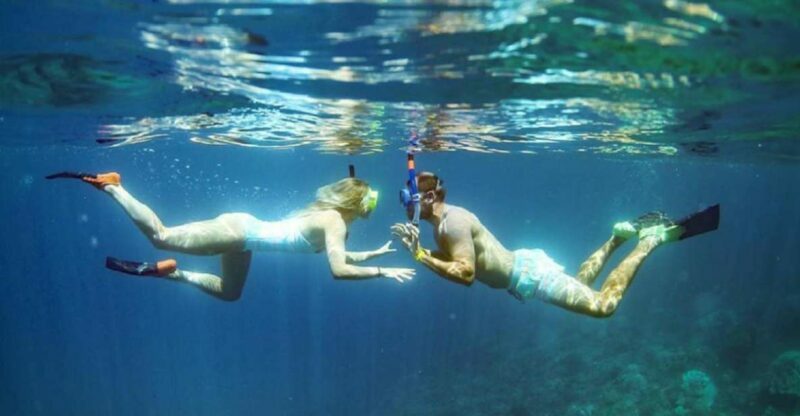 Maui: Kaanapali Beach 4-hour Snorkel w/ BBQ Lunch & Open Bar - Final Thoughts