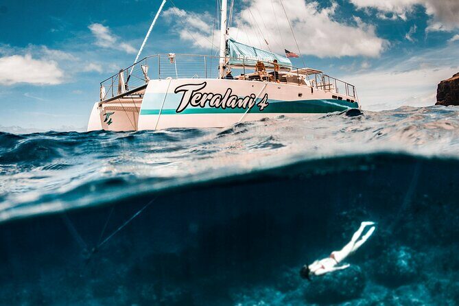 Maui: Kaanapali Beach 5-hour Snorkel w/ BBQ Lunch & Open Bar - Key Points