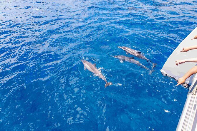 Maui: Kaanapali Beach 5-hour Snorkel w/ BBQ Lunch & Open Bar - Final Thoughts: Why Choose This Tour?