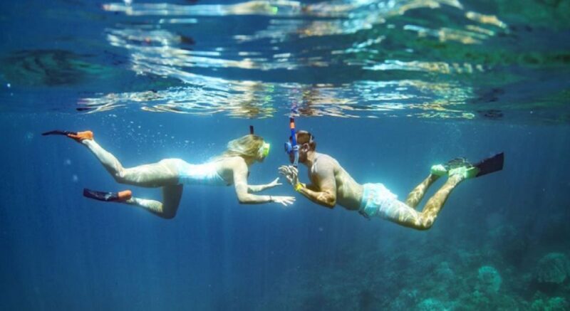 Maui: Kaanapali Beach Snorkel W/ Breakfast and Lunch - Snorkeling in Crystal Clear Waters