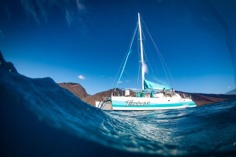 Maui: Kaanapali Wild Dolphin Sail - Key Points