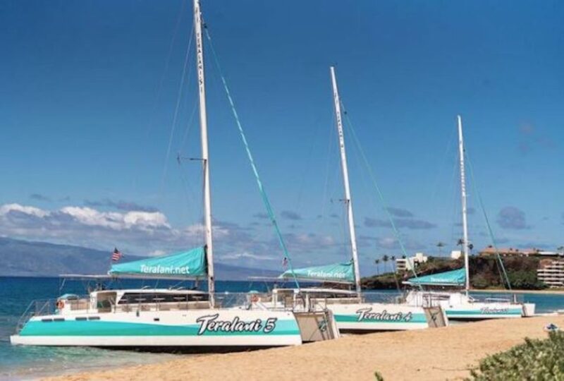 Maui: Kaanapali Wild Dolphin Sail - Meeting Point and Logistics