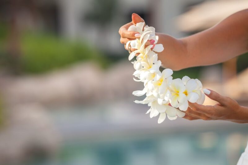 Maui: Kahului Airport (OGG) Traditional Lei Greeting - Photo Opportunities Captured