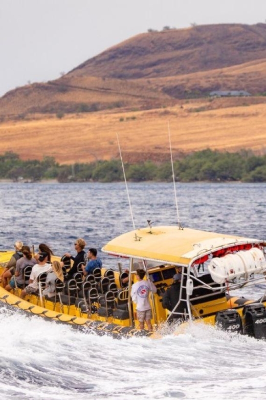 Maui : Koa Kai Molokini Snorkel & Whale Watch - Restrictions