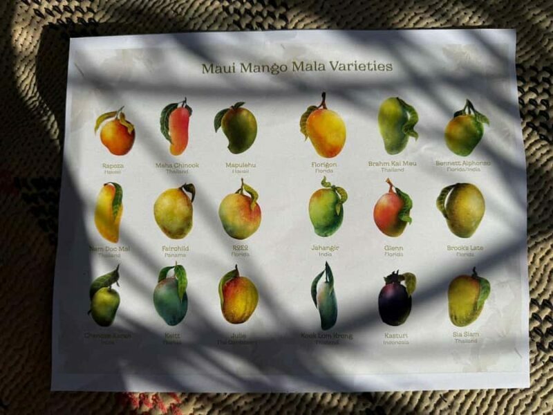 Maui: Mango Farm Sunset Tour with Fruit Tasting and Photos - Why Choose This Tour?