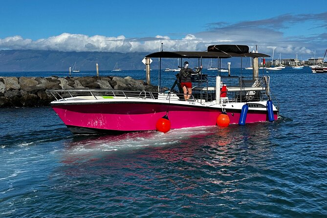 Maui Mid Day Magic Whale Watch - Onboard Amenities and Comfort: Ensuring an Enjoyable Journey