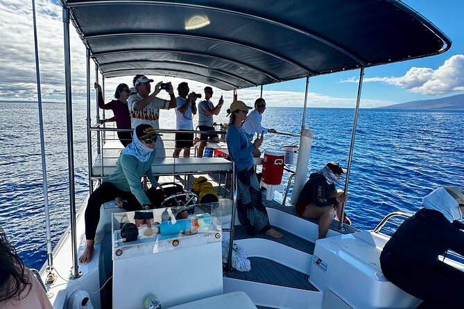 Maui Mid Day Magic Whale Watch - Important Considerations: Pre-Booking, Accessibility, and Cancellation Policy