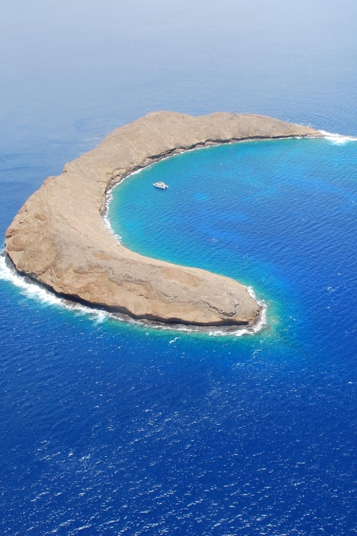 Maui: Molokini Crater & Turtle Town Snorkeling Tour - Inclusions and Amenities