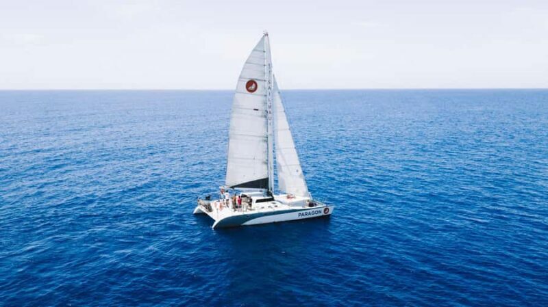 Maui: Morning Sail with the Whales Lahaina Harbor - Who Will Love This Tour?