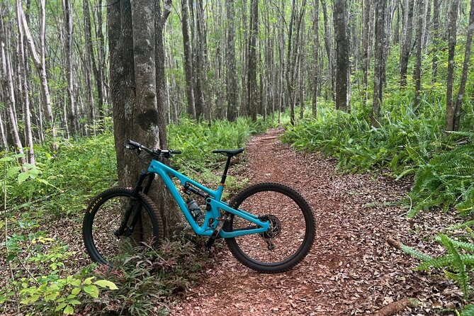 Maui MTB Singletrack on Mountain Bikes or Electric Mountain Bikes - Key Points