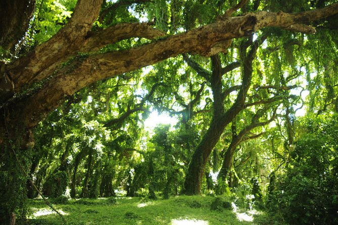 Maui Part-Way to Hana North Shore Sightseeing & Photography Tour! - Reviews and Ratings