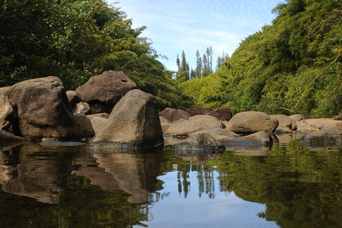 Maui Part-Way to Hana North Shore Sightseeing & Photography Tour! - Mauis North Shore Highlights