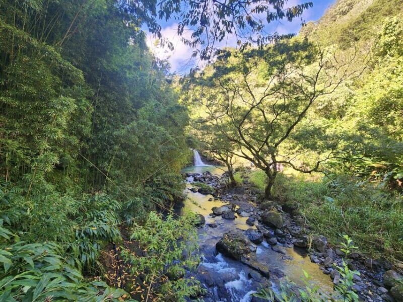 Maui: Private All-Inclusive Road to Hana Tour With Pickup - Transportation and Accessibility