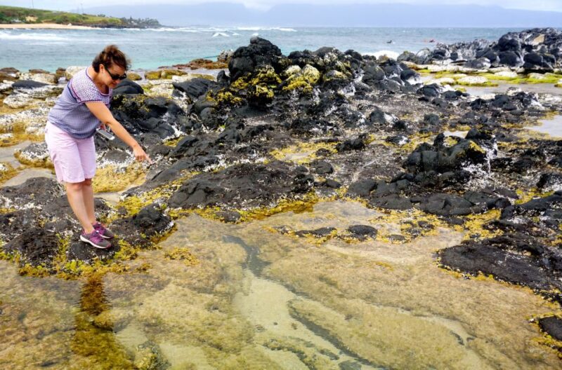 Maui: Private Guided Round-Trip Excursion to Hana - Tour Highlights and Experiences