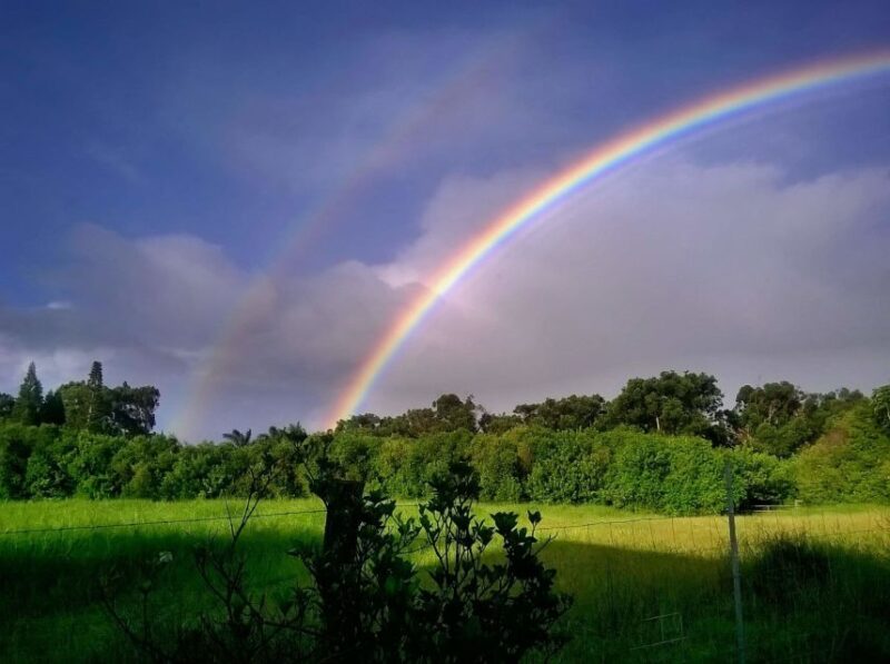 Maui: Private Guided Round-Trip Excursion to Hana - Cultural and Historical Insights