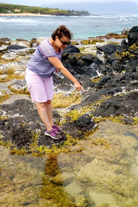Maui: Private Guided Round-Trip Excursion to Hana - Frequently Asked Questions