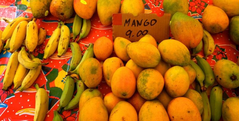Maui: Private Road to Hana Full Loop Guided Tour - Scenic Stops