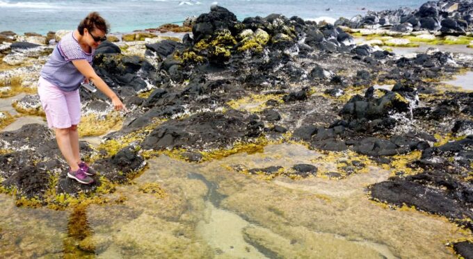 Maui: Private Road to Hana Full Loop Guided Tour - Cancellation Policy