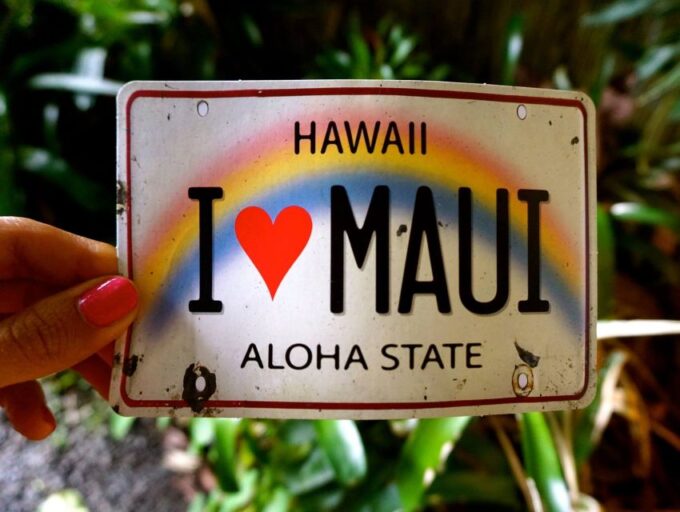 Maui: Private Road to Hana Full Loop Guided Tour - Customer Reviews