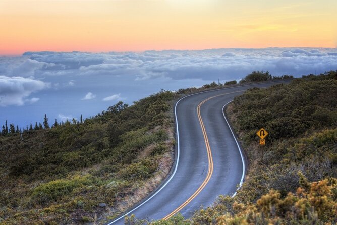 Maui Private Tour With Guide - Accessibility Features