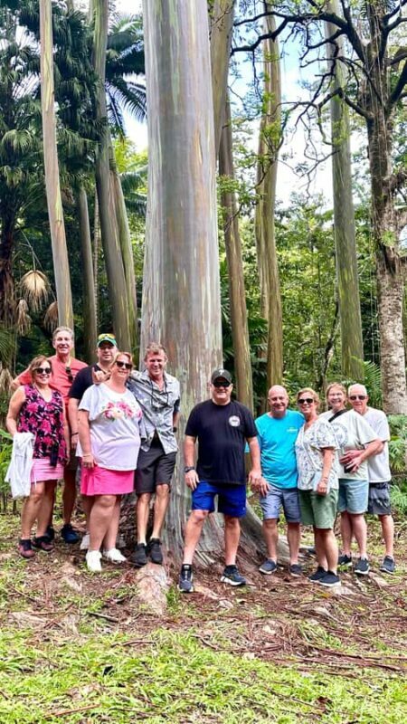 Maui: Rainforest Adventure to Hana with Photos - Key Points
