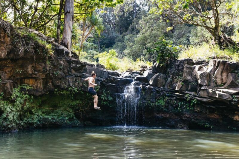 Maui: Rainforest Waterfalls Guided Hike With Picnic Lunch - Hiking Experience