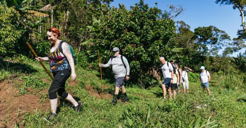 Maui: Rainforest Waterfalls Guided Hike With Picnic Lunch - Inclusions and Equipment