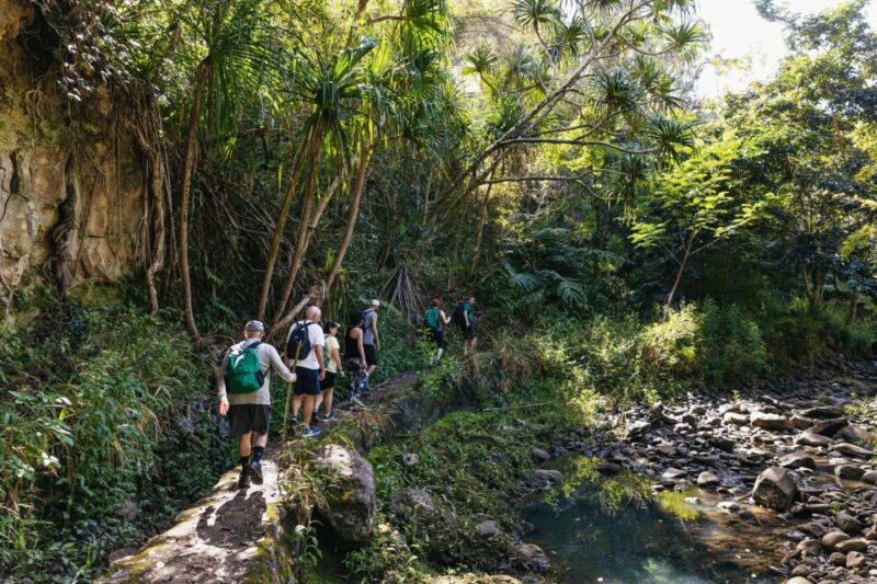 Maui: Rainforest Waterfalls Guided Hike With Picnic Lunch - Customer Feedback