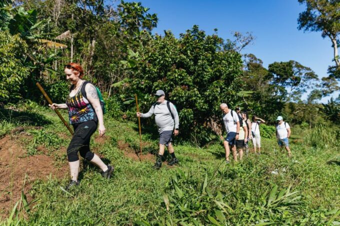 Maui: Rainforest Waterfalls Guided Hike With Picnic Lunch - Departure and Meeting Point