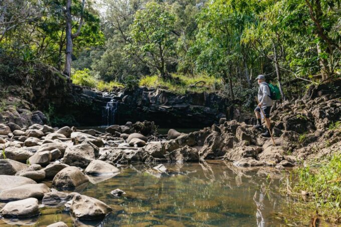 Maui: Rainforest Waterfalls Guided Hike With Picnic Lunch - What to Bring