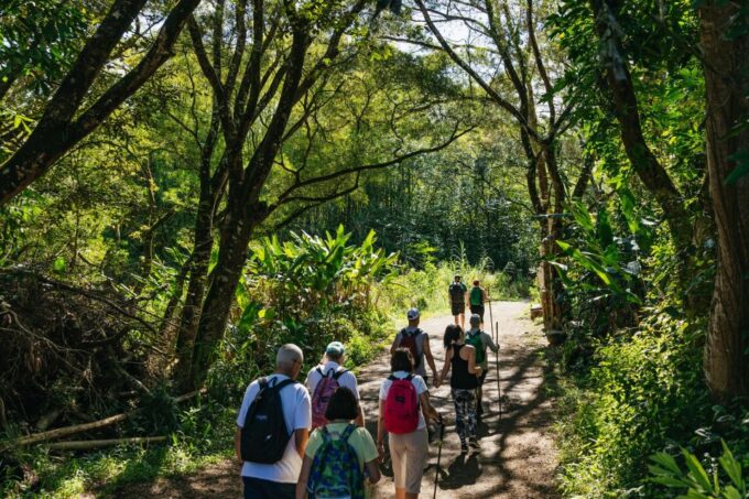 Maui: Rainforest Waterfalls Guided Hike With Picnic Lunch - Additional Information