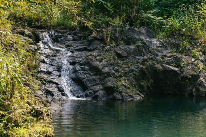 Maui: Rainforest Waterfalls Guided Hike With Picnic Lunch - Frequently Asked Questions
