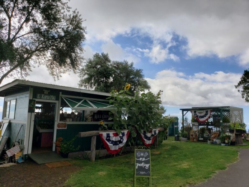 Maui: Road to Hana Adventure With Breakfast & Lunch - Included Amenities