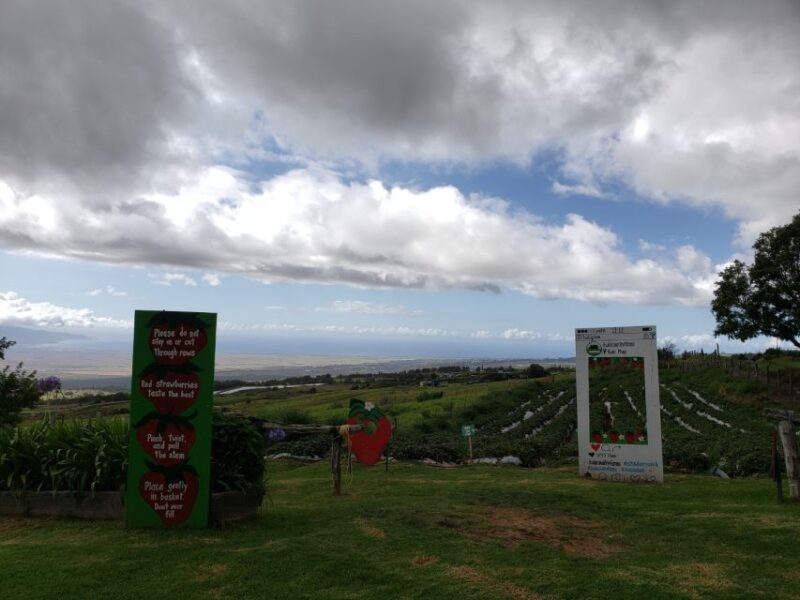 Maui: Road to Hana Adventure With Breakfast & Lunch - Customer Feedback