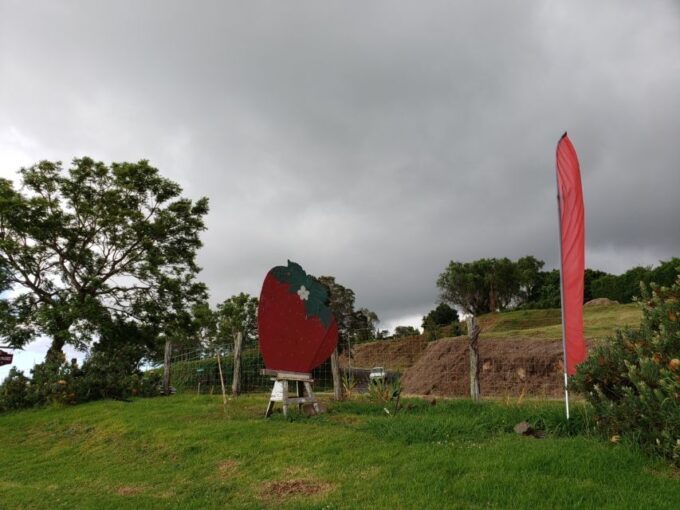 Maui: Road to Hana Adventure With Breakfast & Lunch - Discovering Waianapanapa State Park