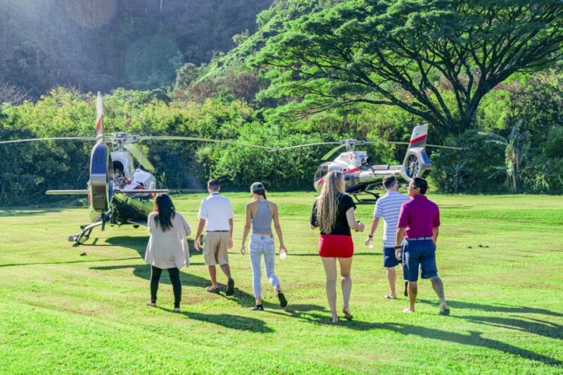 Maui: Road to Hana Helicopter & Waterfall Tour With Landing - Experience Highlights