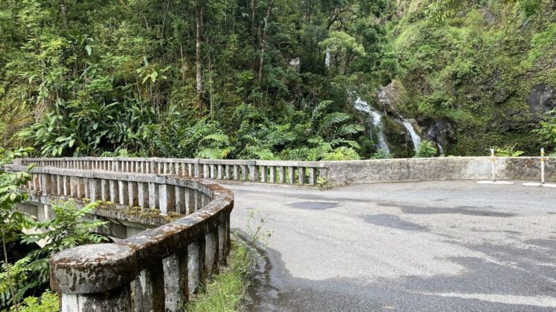 Maui: Road to Hana Private Adventure Tour With Luxury SUV - Included Amenities